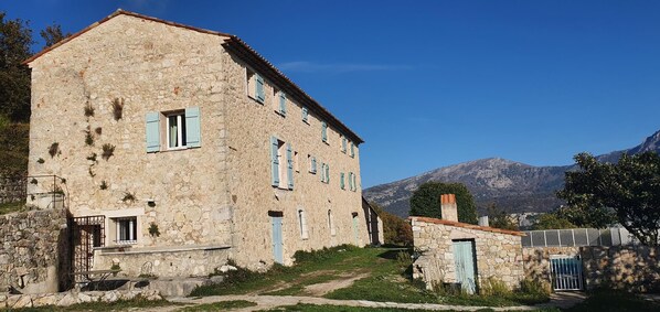 Exteriör