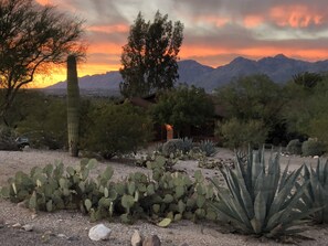 Sunset over the Santa Catalinas, looking toward the front of the house