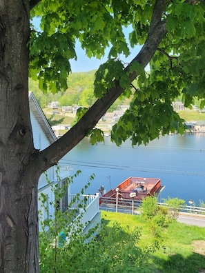 View from living room window