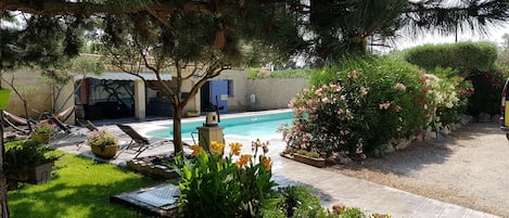 piscine / jardin