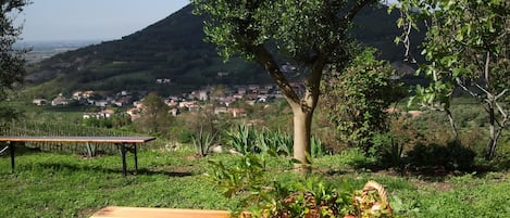 From the porch view of the valley

