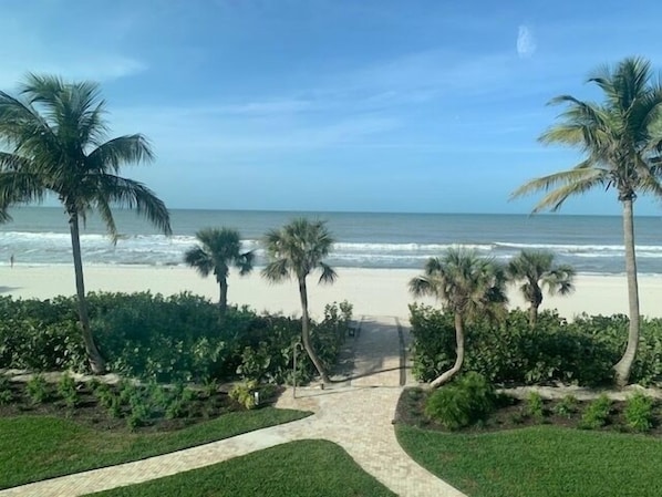 Boardwalk & landscaping, January 2024