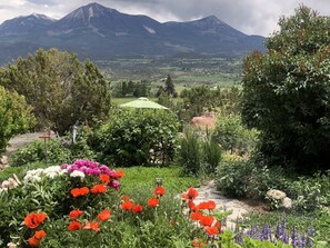 Gorgeous views of the Elk Mountains
