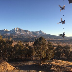 Beautiful views