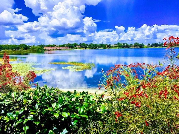 Your view for your waterfront stay in Lake Placid! 