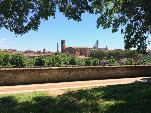 View from property