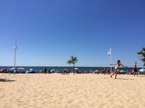 ビーチ