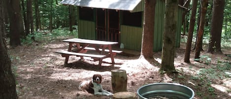 Coyote's Den Rustic Cabin