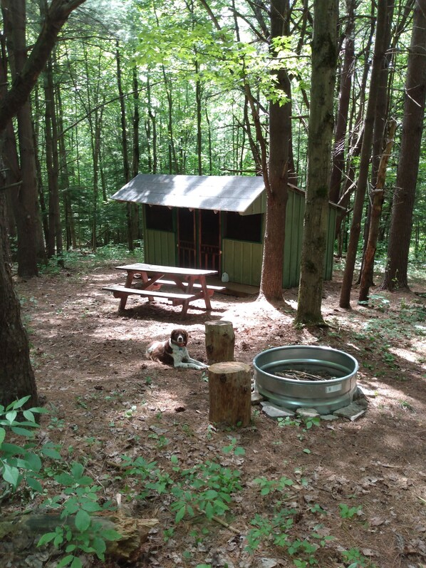 Coyote's Den Rustic Cabin