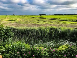 Blick über die Felder