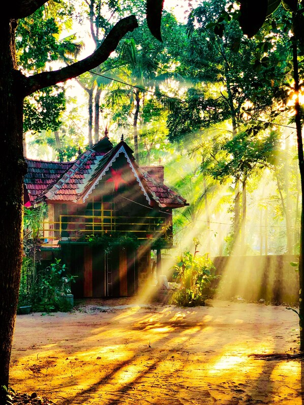Cottage 