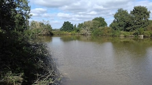 Lac