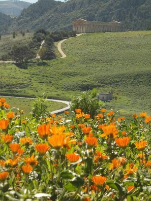 vista sul tempio