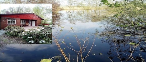 ALLEINLAGE in 1,7ha Teich- und Waldidylle Paradies für Naturliebhaber