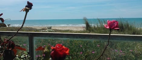 Blick auf den Strand