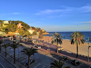 Beach/ocean view