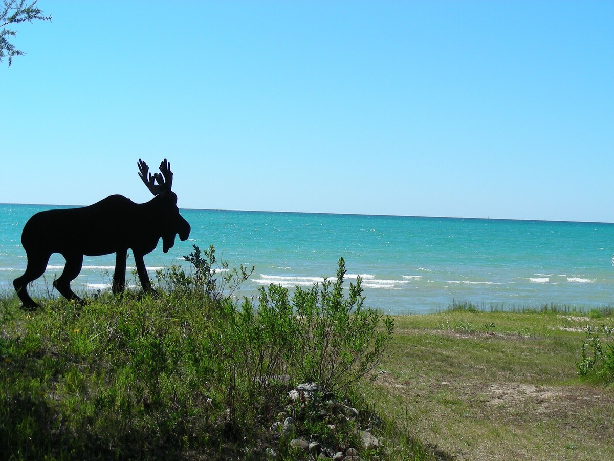 Beautiful Private Sandy Lake Michigan Beach Cottage -WiFi