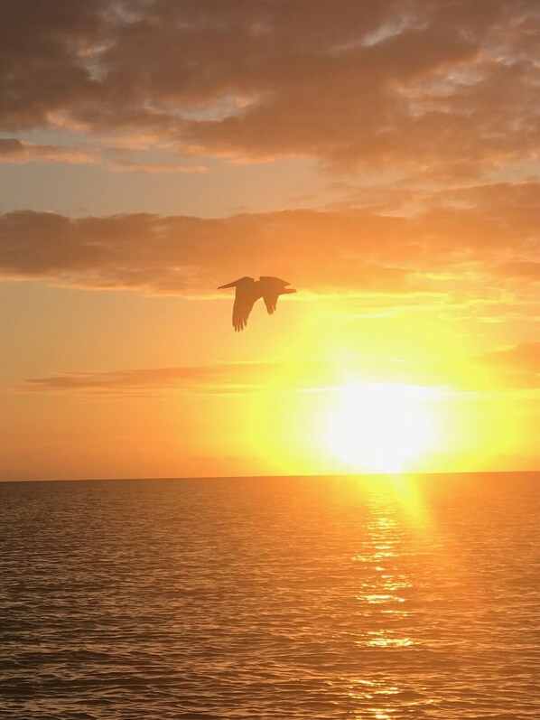 Gorgeous sunsets from your very own private beach 🏖 