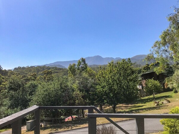 Stunning view of Mount Buller from the front deck