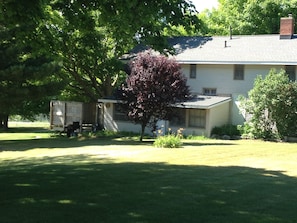Another side view