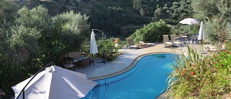 Pool area with view of the olive groves