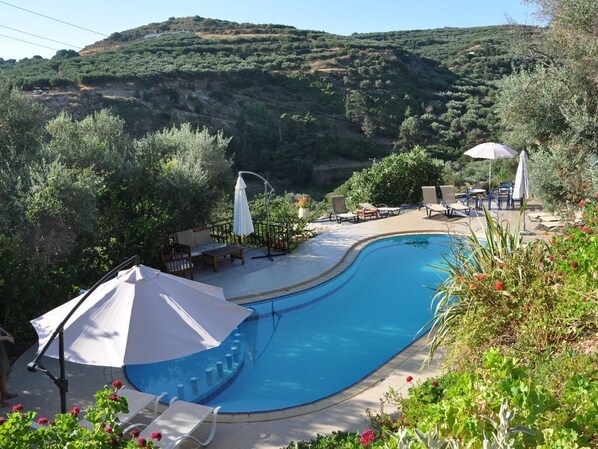 Pool area with view of the olive groves