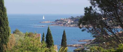 Vue Mer