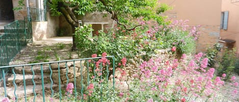 Jardinet avec table et chaises