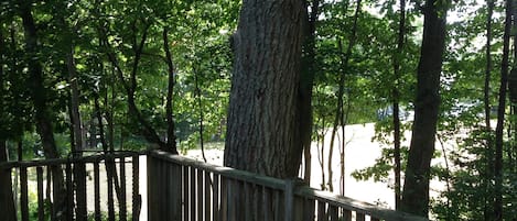 private deck overlooking conservation trust land and river