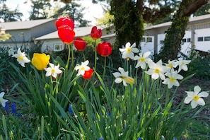 Spring is special at our Guesthouse