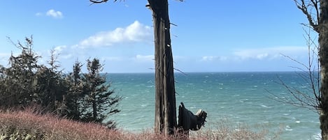 Viewpoint looking west toward Port Angeles