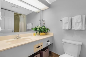 Immerse yourself in bathing bliss in our suite's bathroom, where an inviting tub complements the sleek sink and elegant mirror, creating a serene oasis.