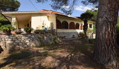 Picture of villa