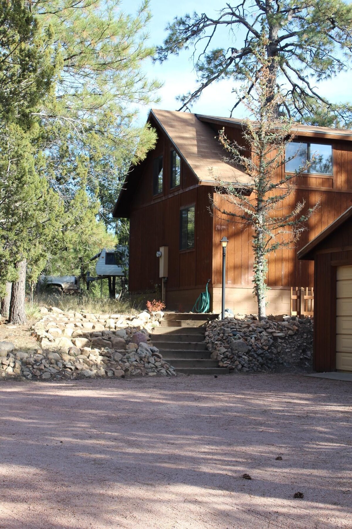 Cozy, quaint cabin nestled among the pine trees
