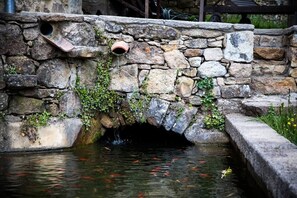 Détail du bassin à petits poissons.