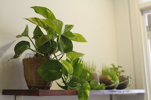 Interior detail