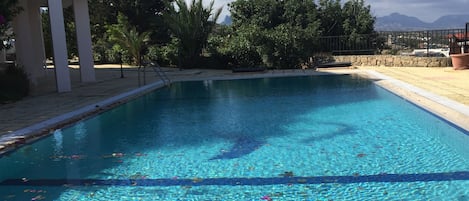 Our private 5mx10m pool