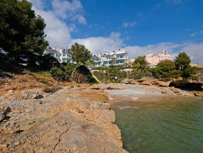 Water, Sky, Water Resources, Sea, Beach, Rock, Coast, Wilderness, Tree, Shore