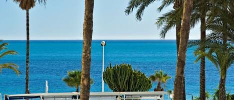 Water, Plant, Property, Sky, Swimming Pool, Azure, Green, Blue, Tree, Outdoor Furniture