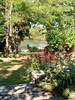 Le jardin en pente douce vue sur la belle Charente