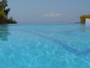 From the pool...