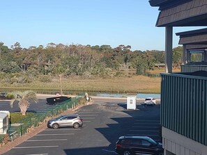Marsh view from balcony