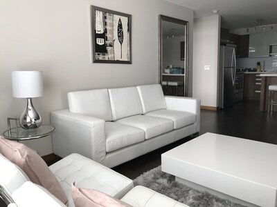 Bright Modern Comfortable New Built Condo - 2 Bed, 1 Bath