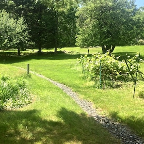 side lawn., grape vine, apple trees. 
Peaceful and quiet. 