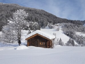 Février 2019 côté sud