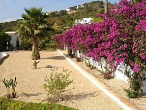 Small section of private garden area