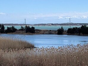 View from cottage's deck