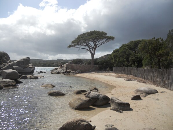 Strand