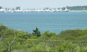 View of Lake Montauk