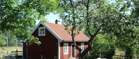 Udendørsområde